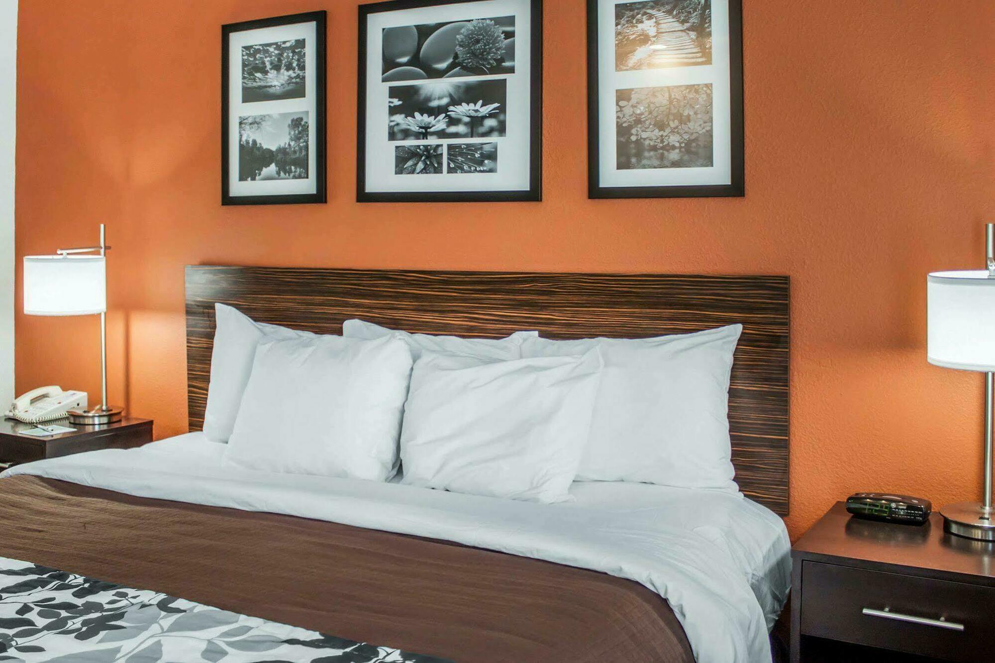 Sleep Inn North Charleston Ashley Phosphate Екстериор снимка